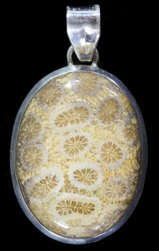 Million Year Old Fossil Coral Pendant - Sterling Silver #49558